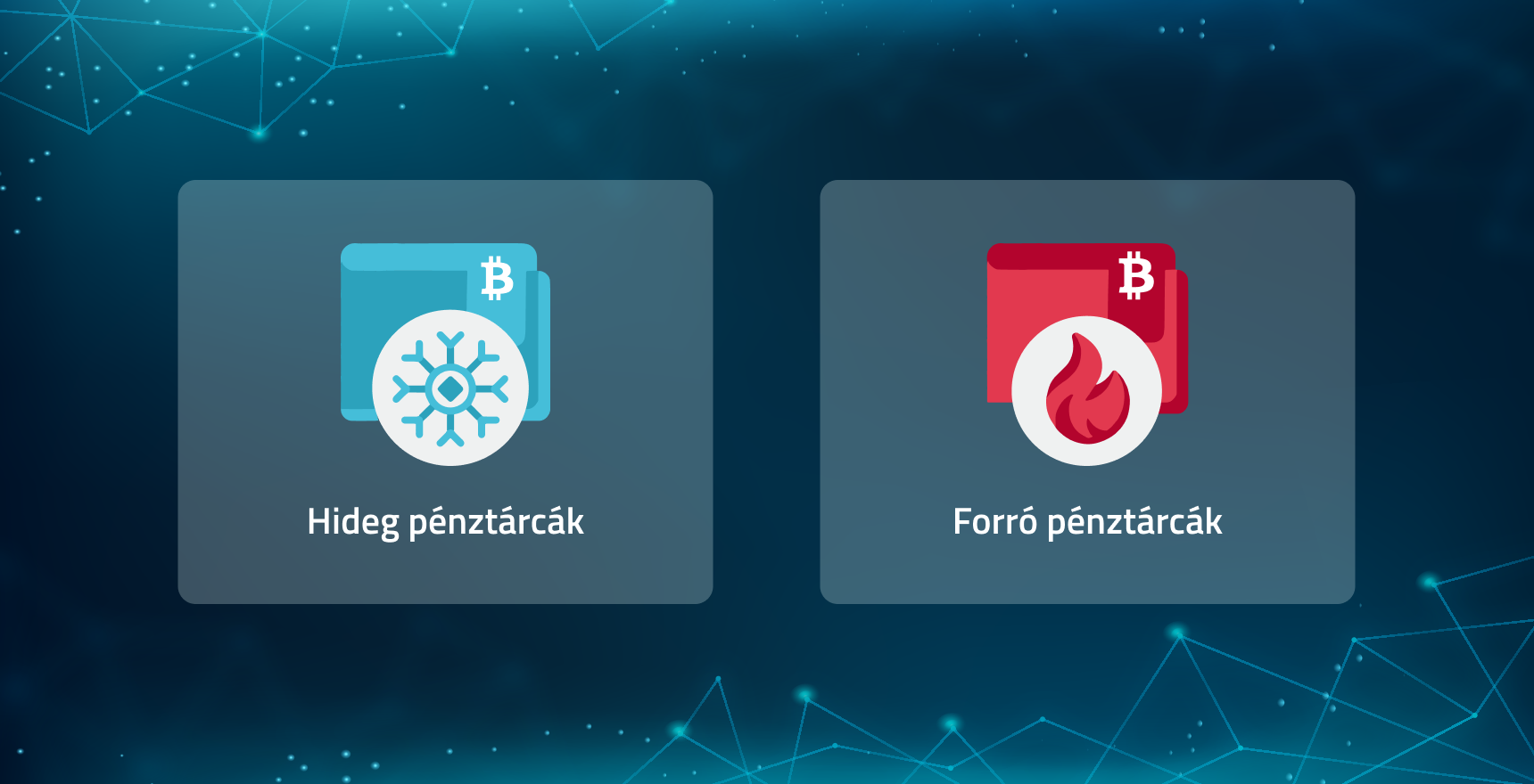 hideg és forró kriptotárcák